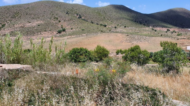 Almería - Cabo de Gata - 5000m2