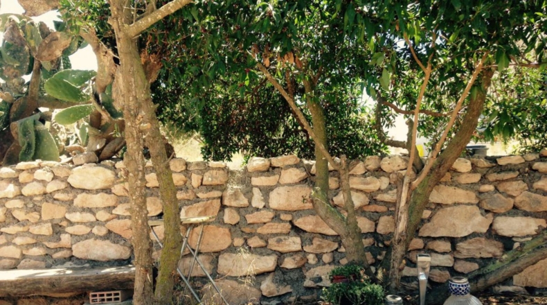 Almería - Cabo de Gata - 5000m2