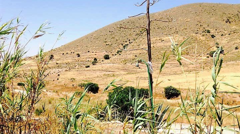 Almería - Cabo de Gata - 5000m2