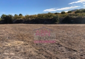 Non-developable land for sale in Benissoda ref: TR385641 photo