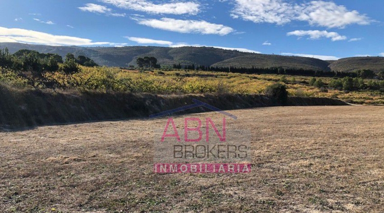 Valencia - Benissoda - 12132m2