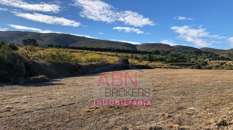 Valencia - Benissoda - 12132m2