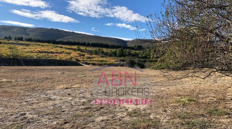 Valencia - Benissoda - 12132m2