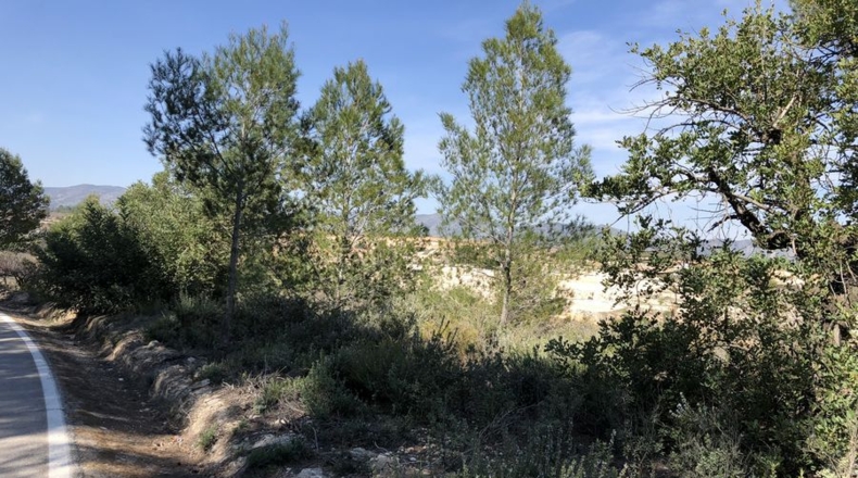 Valencia - Albaida - 11226m2