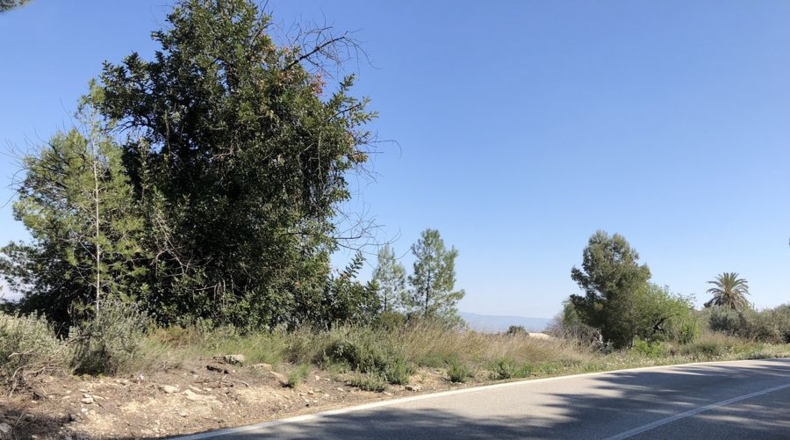 Valencia - Albaida - 11226m2