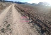 Terreno no urbanizable en venta en Tavernes de la Valldigna ref: TR385565 foto