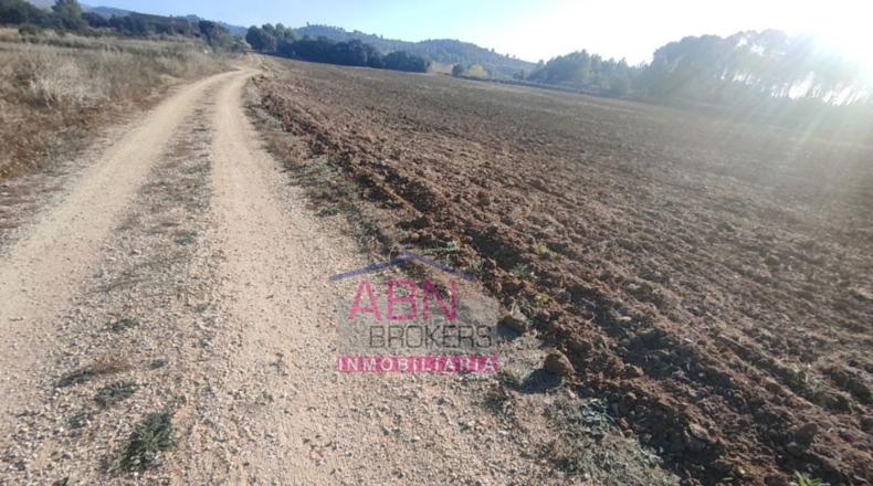 Valencia - Bellús - 18062m2