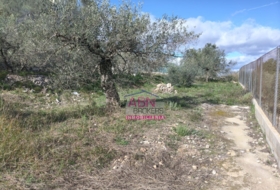 Albaida 600&nbsp;m²