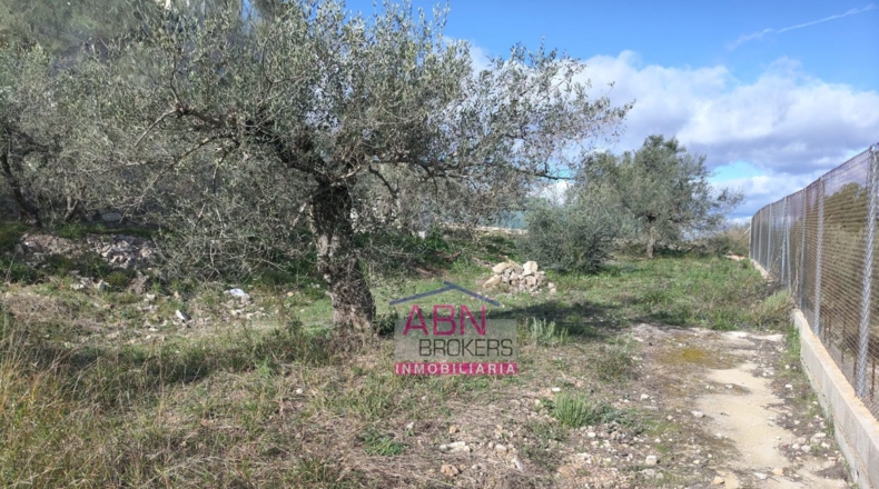 Valencia - Adzaneta de Albaida - 600m2