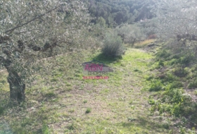 Albaida 600&nbsp;m²