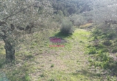 Suelo urbano en venta en Albaida ref: TR383832 foto