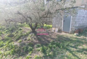 Albaida 600&nbsp;m²
