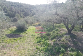Albaida 600&nbsp;m²