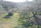 Suelo urbano en venta en Albaida ref: TR383832 foto