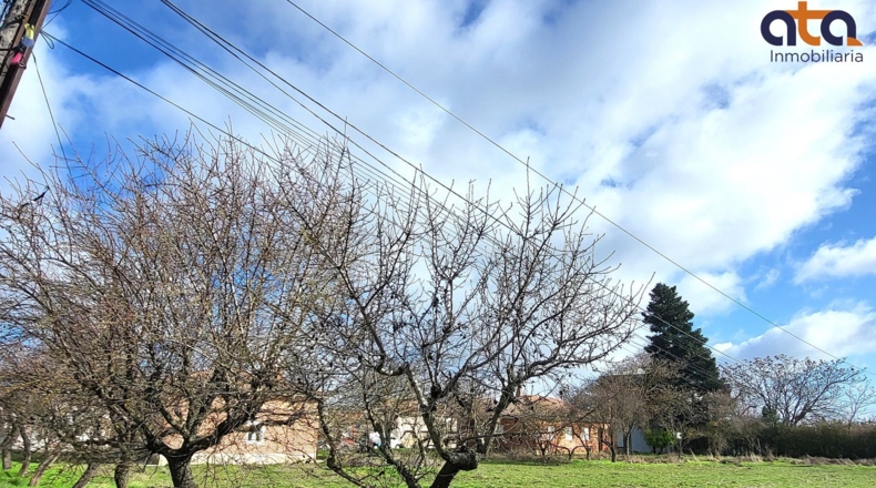 Valladolid - Sardón de Duero - 101m2