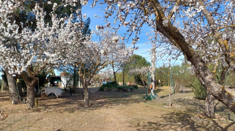 Toledo - Almorox - 2550m2