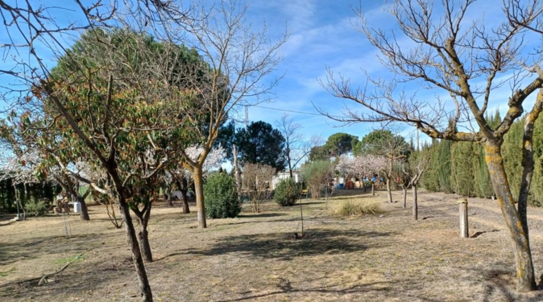 Toledo - Almorox - 2550m2