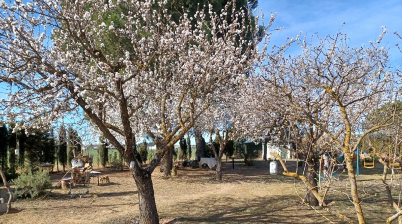 Toledo - Almorox - 2550m2