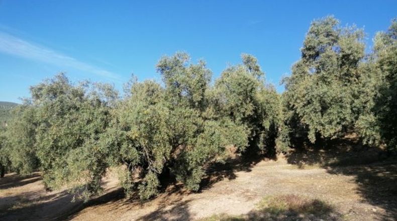 Málaga - Archidona - 3m2