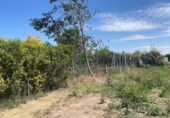 Terreno no urbanizable en venta en Laguna de Duero ref: TR383809 foto