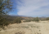 Finca rústica en venta en Granada ref: TR385787 foto