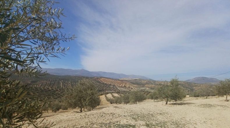 Burgos - Salas de los Infantes - 660000m2