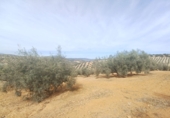 Finca rústica en venta en Granada ref: TR385787 foto