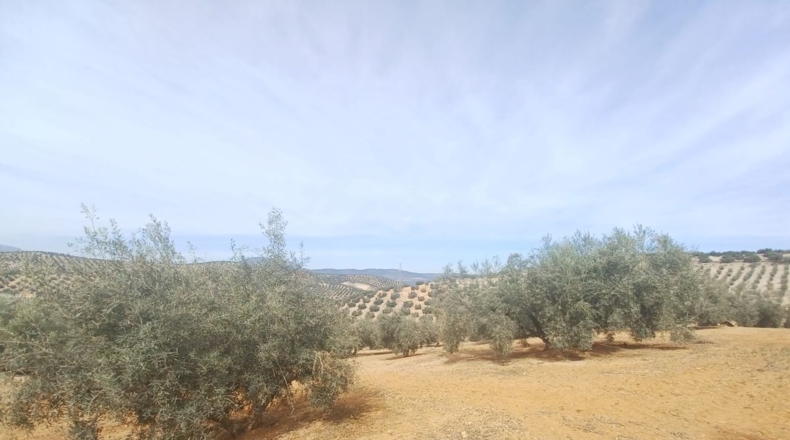 Burgos - Salas de los Infantes - 660000m2