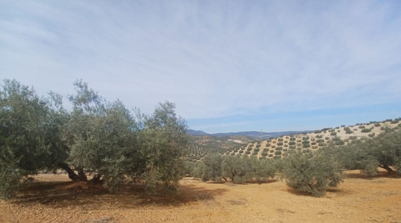 Burgos - Salas de los Infantes - 660000m2