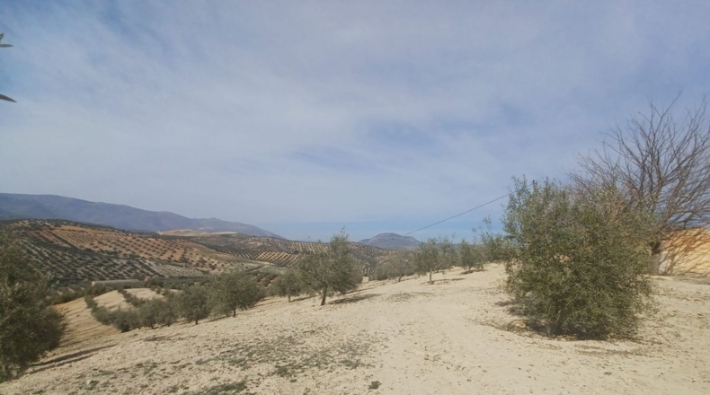 Burgos - Salas de los Infantes - 660000m2