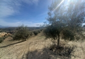 Finca rústica en venta en Granada ref: TR385787 foto