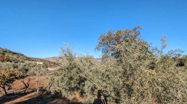 Granada - Santa Fe - 5604m2