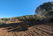 Terreno no urbanizable en venta en Santa Fe ref: TR385646 foto