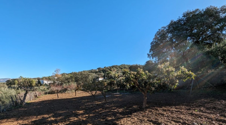 Granada - Santa Fe - 5604m2
