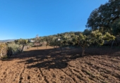 Terreno no urbanizable en venta en Santa Fe ref: TR385646 foto