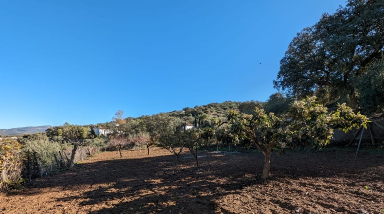Granada - Santa Fe - 5604m2