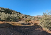 Terreno no urbanizable en venta en Santa Fe ref: TR385646 foto
