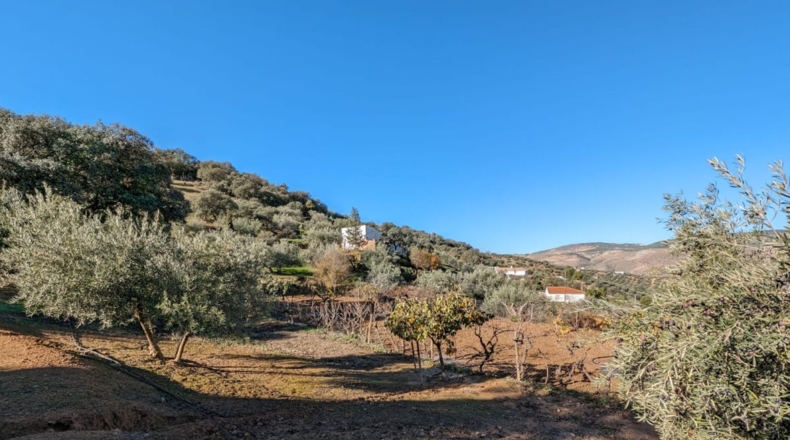 Granada - Santa Fe - 5604m2