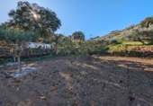 Terreno no urbanizable en venta en Santa Fe ref: TR385646 foto