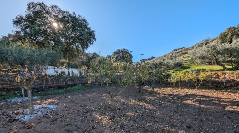 Granada - Santa Fe - 5604m2