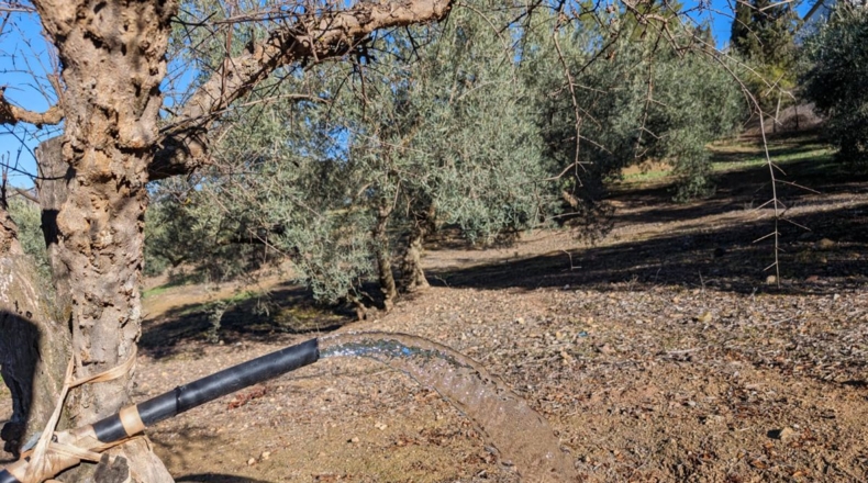Granada - Santa Fe - 5604m2