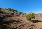 Terreno no urbanizable en venta en Santa Fe ref: TR385646 foto