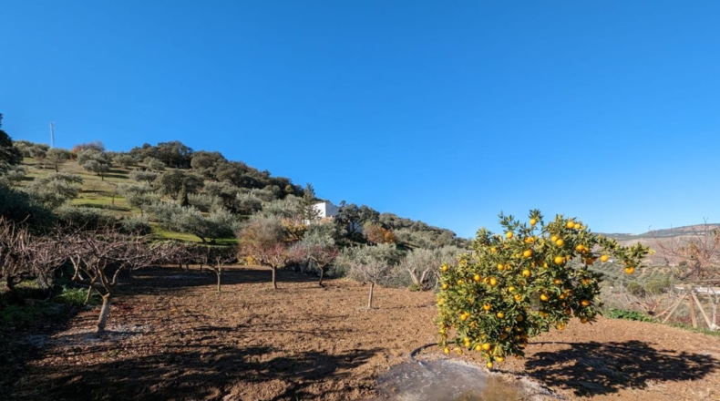 Granada - Santa Fe - 5604m2