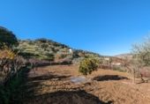 Terreno no urbanizable en venta en Santa Fe ref: TR385646 foto