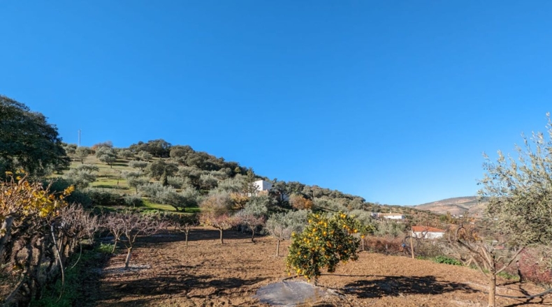 Granada - Santa Fe - 5604m2