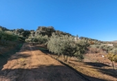 Terreno no urbanizable en venta en Santa Fe ref: TR385646 foto