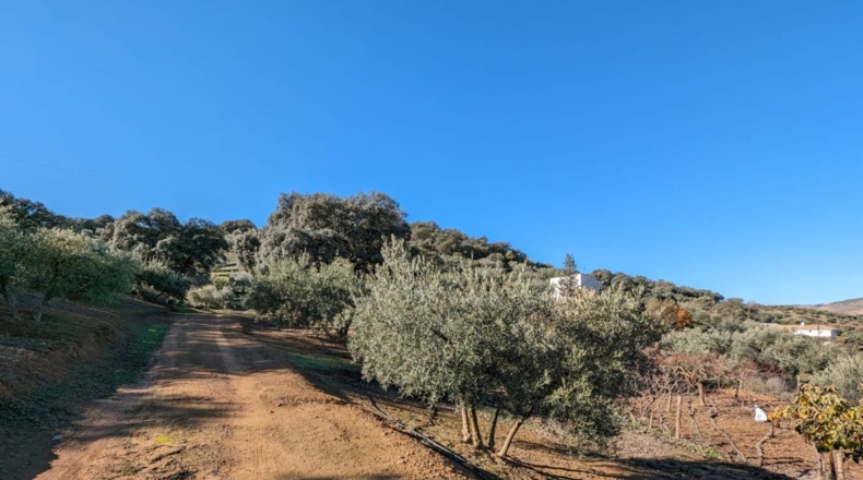 Granada - Santa Fe - 5604m2