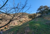 Terreno no urbanizable en venta en Santa Fe ref: TR385485 foto