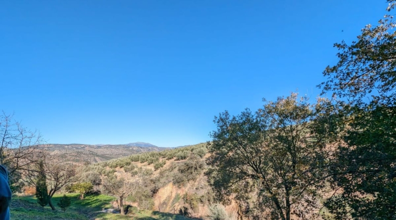 Granada - Santa Fe - 3456m2