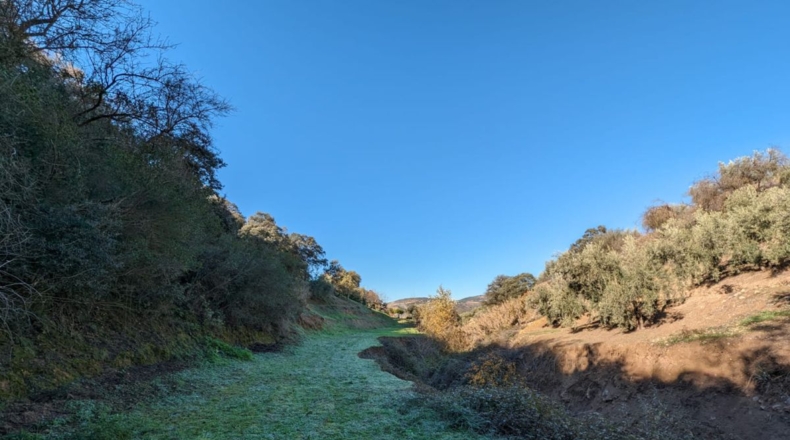 Granada - Santa Fe - 3456m2